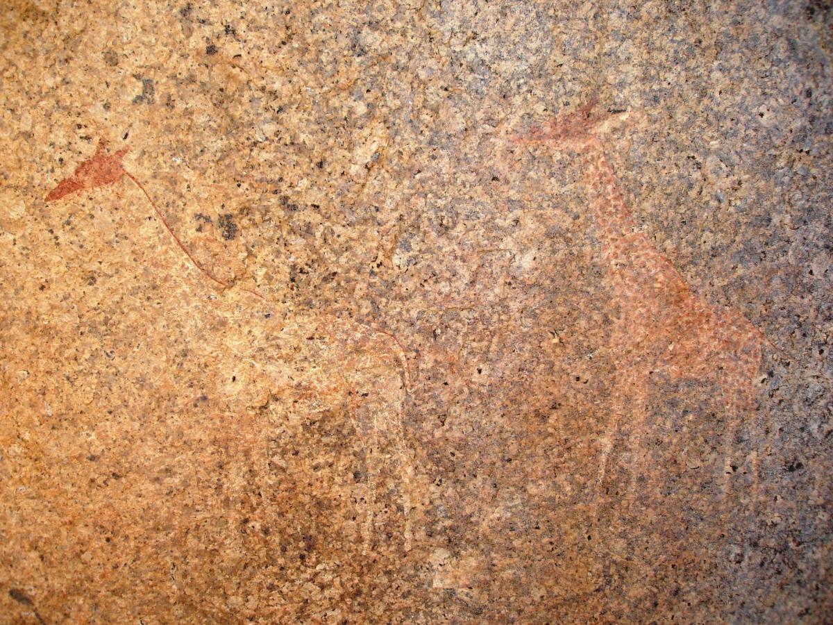 Ai Aiba - The Rock Painting Lodge Omaruru Luaran gambar